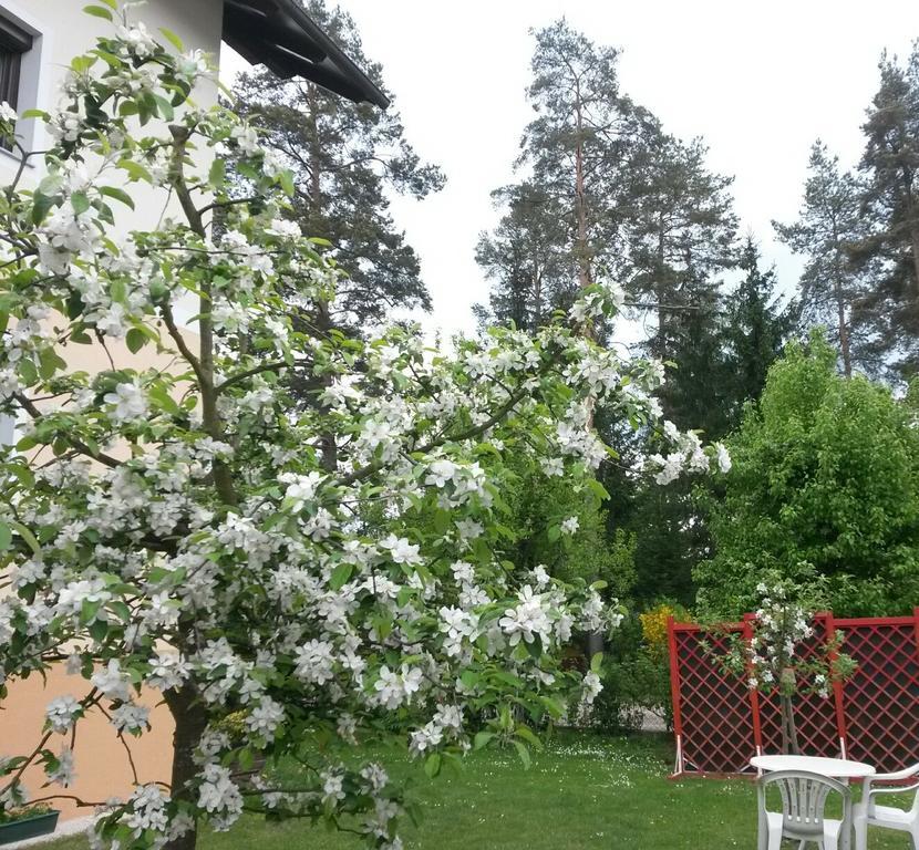 Ferienwohnung Kerth Sankt Kanzian am Klopeiner See ภายนอก รูปภาพ